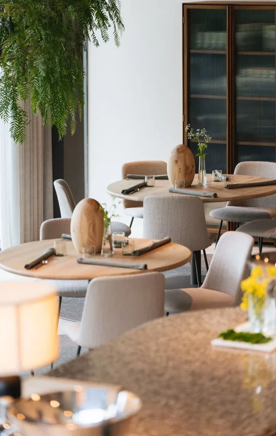 A dish at Bolenius Rembrandtpark, plant-forward fine dining in Amsterdam